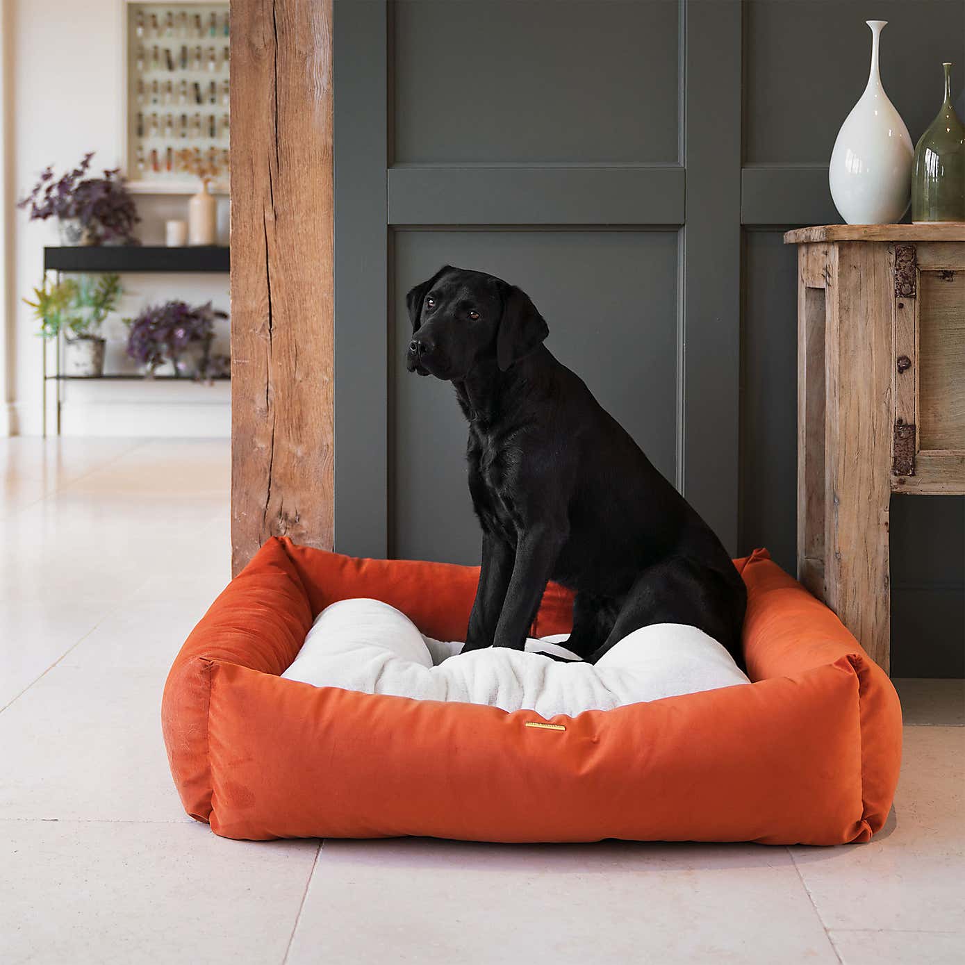 Lords and Labradors Velvet Box Dog Bed