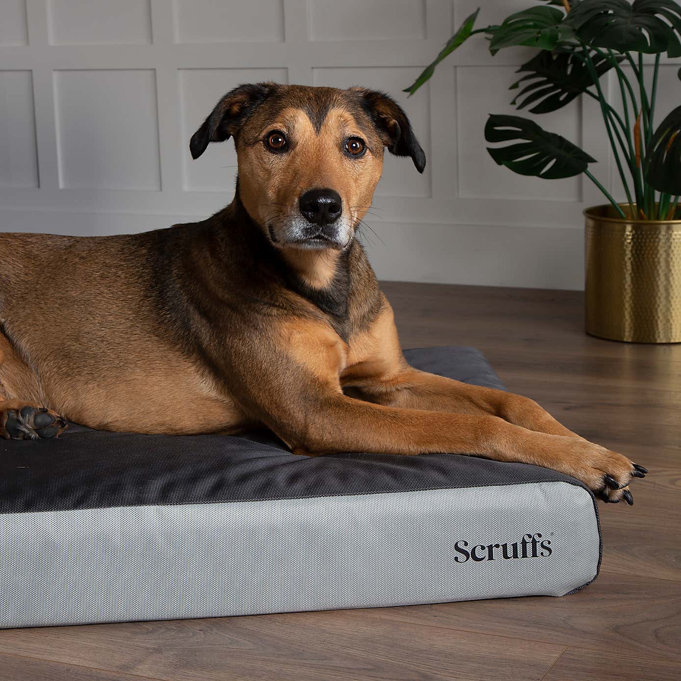 Scruffs ArmourDillo Orthopaedic Dog Bed