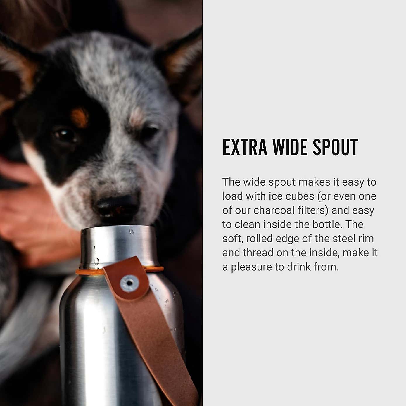 Black and Blum Insulated Water Bottle