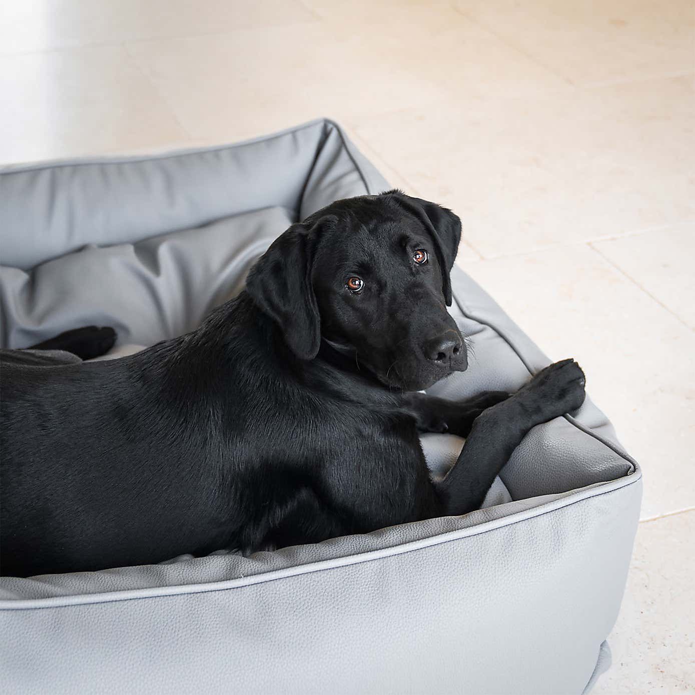 Lords and Labradors Rhino Leather Box Dog Bed