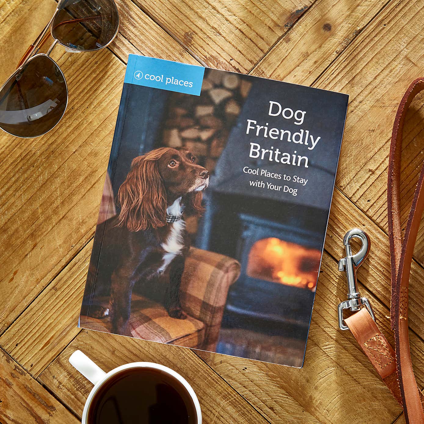 Cool Places Dog Friendly Britain