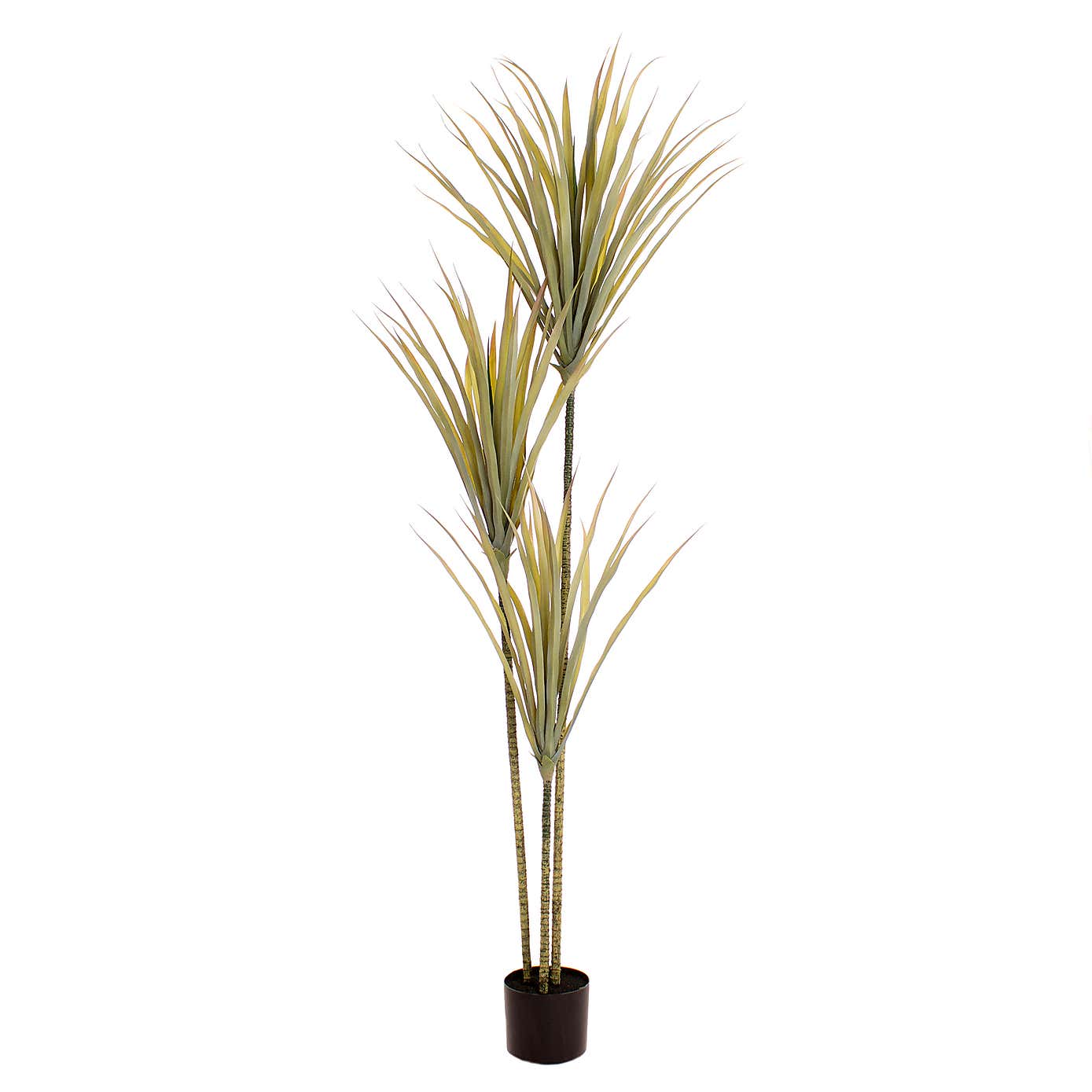 Artificial Yucca Tree in Black Plastic Plant Pot