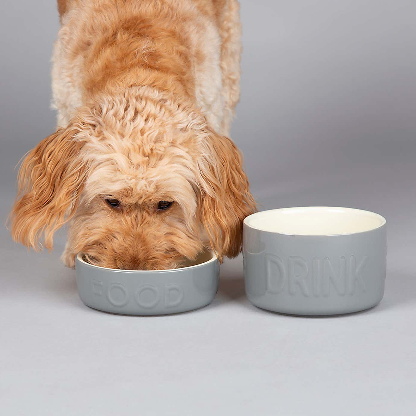 Scruffs Set of 2 Medium Grey Food and Drink Dog Bowls