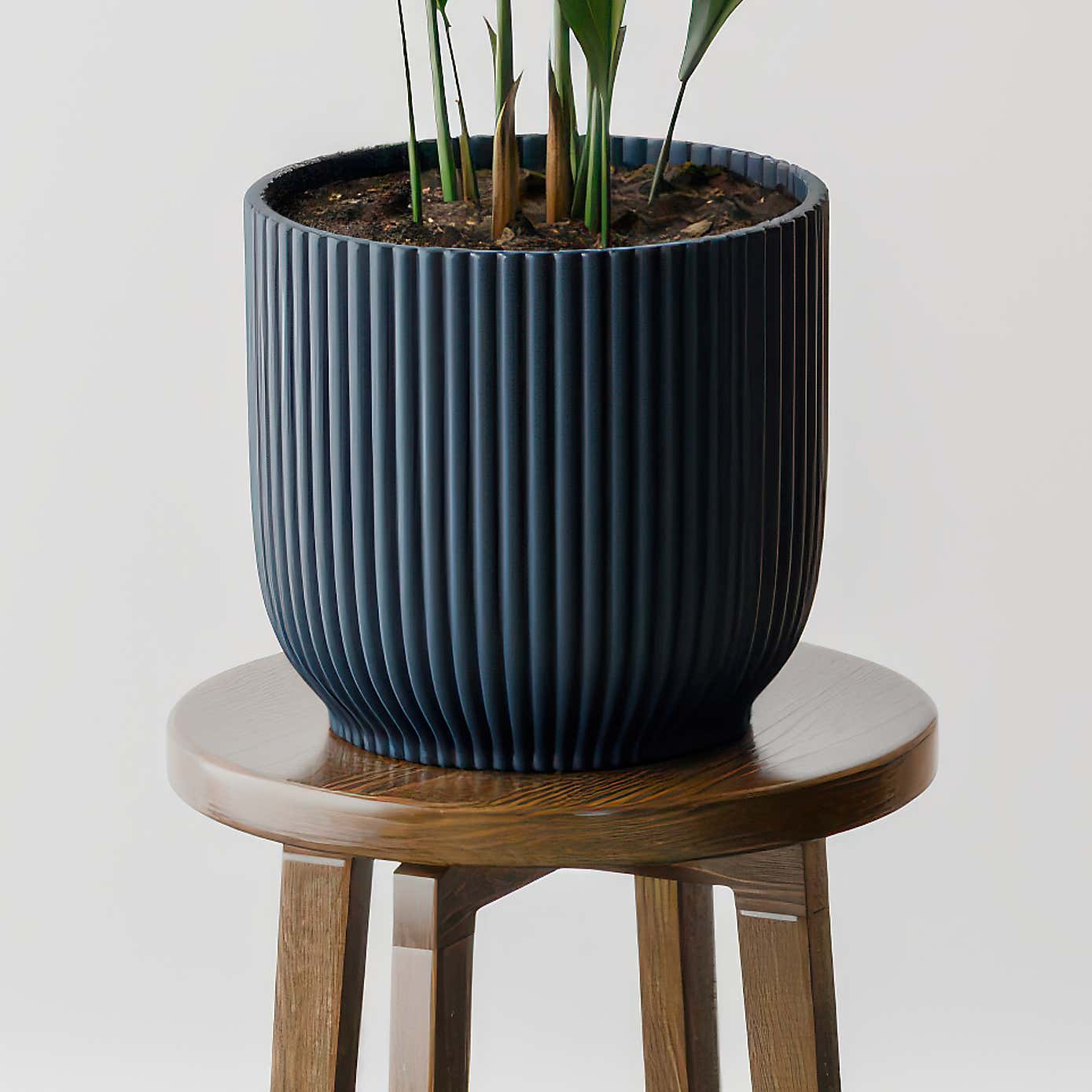 Beards & Daisies Cast Iron House Plant in Vibes Pot