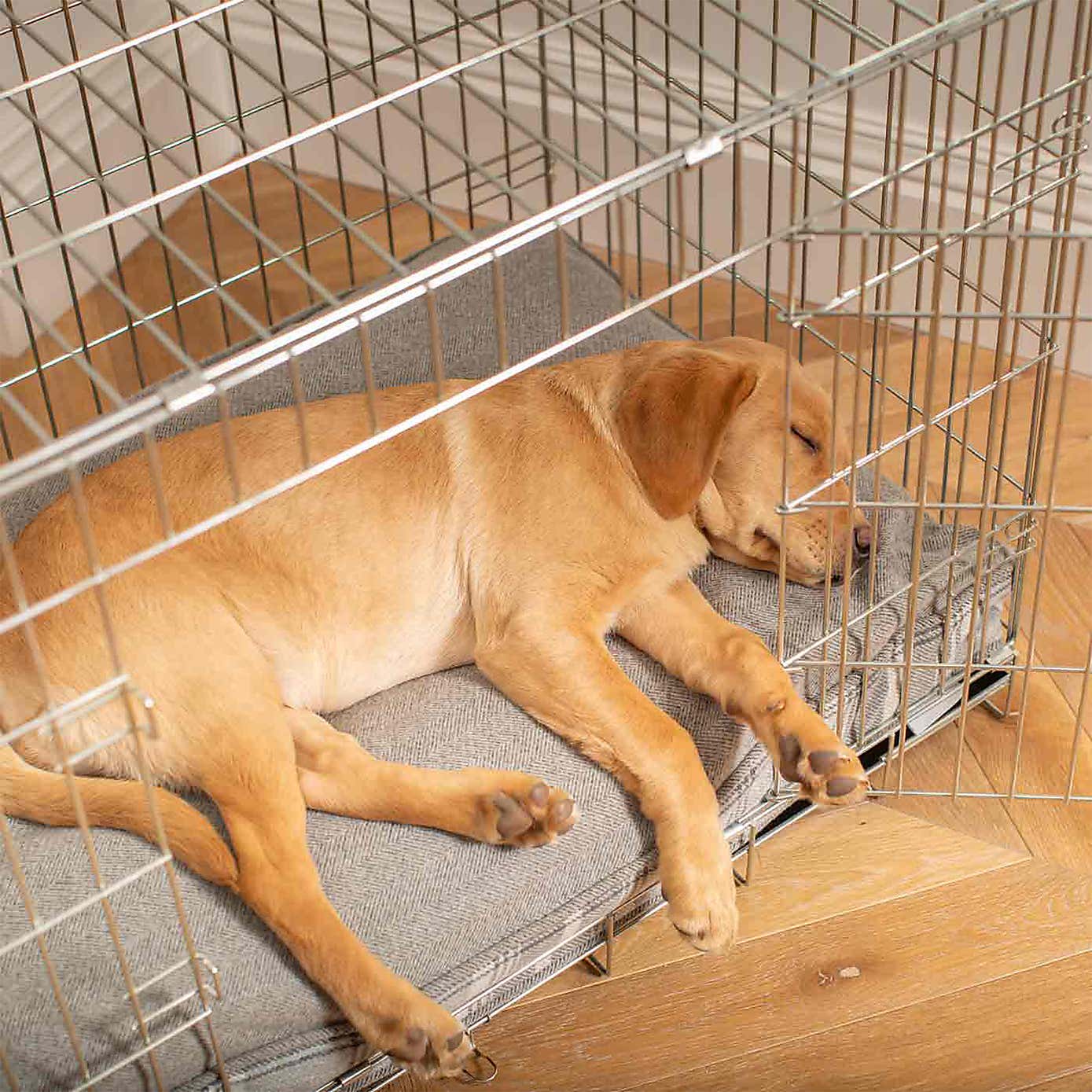 Lords and Labradors Balmoral Dog Cushion