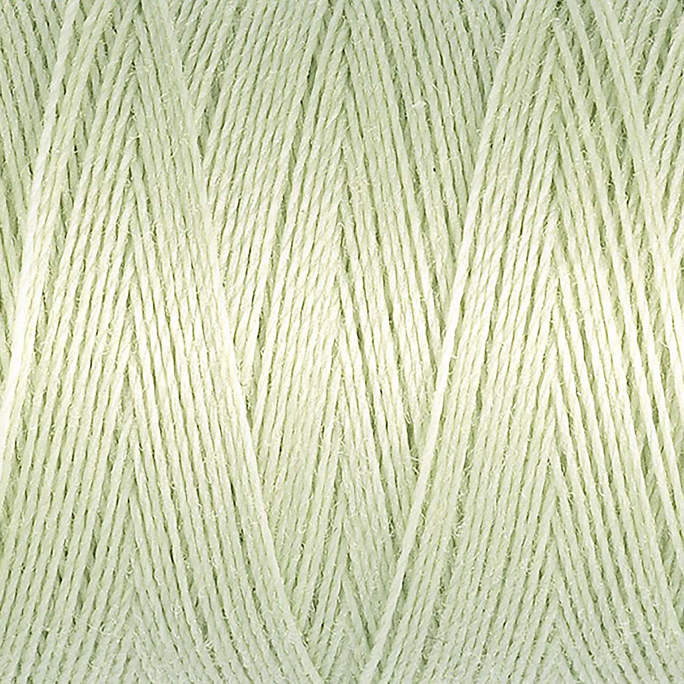 Gutermann Sew All Thread Pale Green (818)