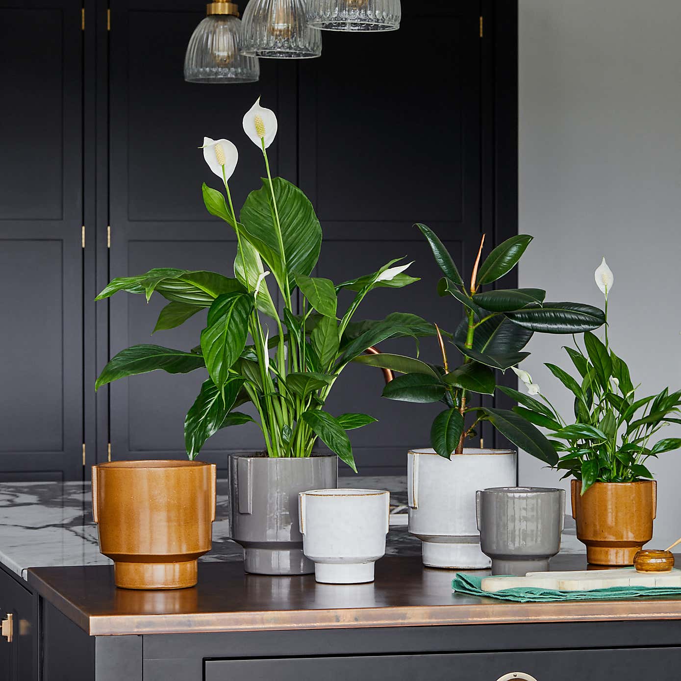 Aries Glazed Handles Planter