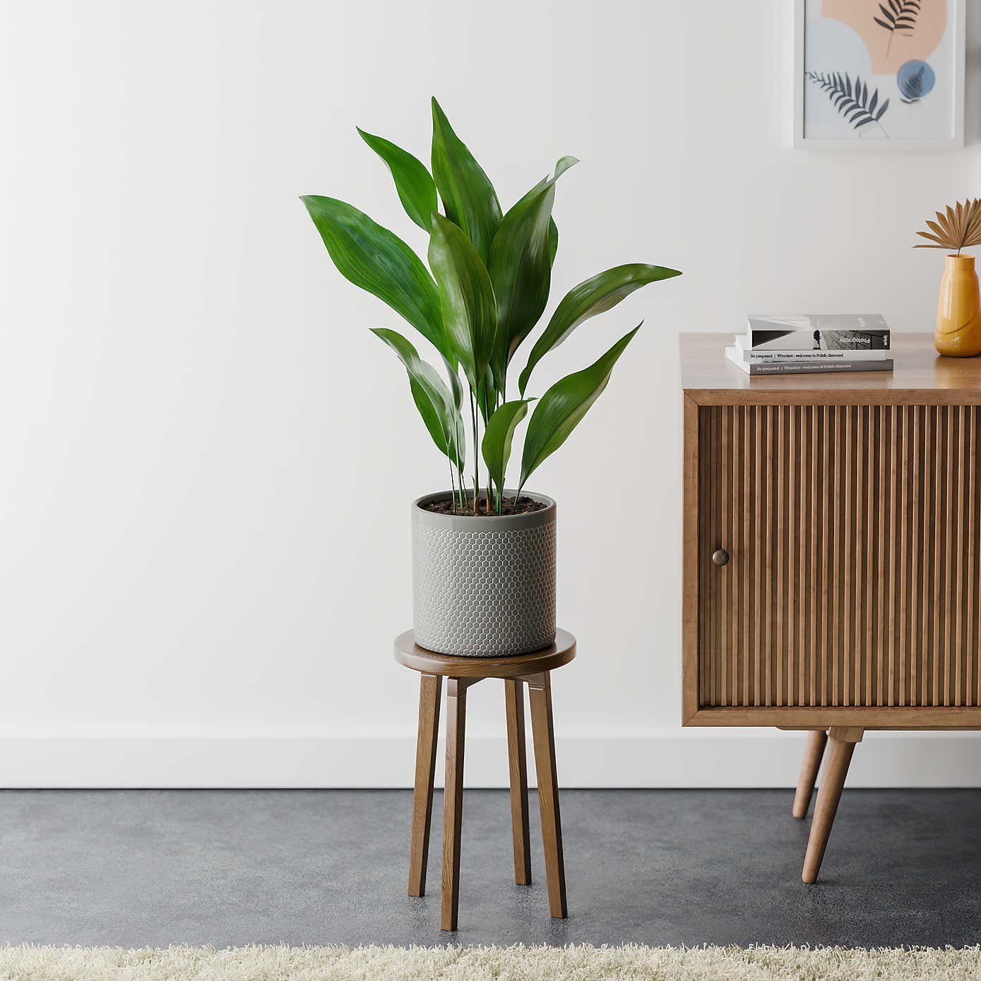 Beards & Daisies Cast Iron House Plant in Capri Pot