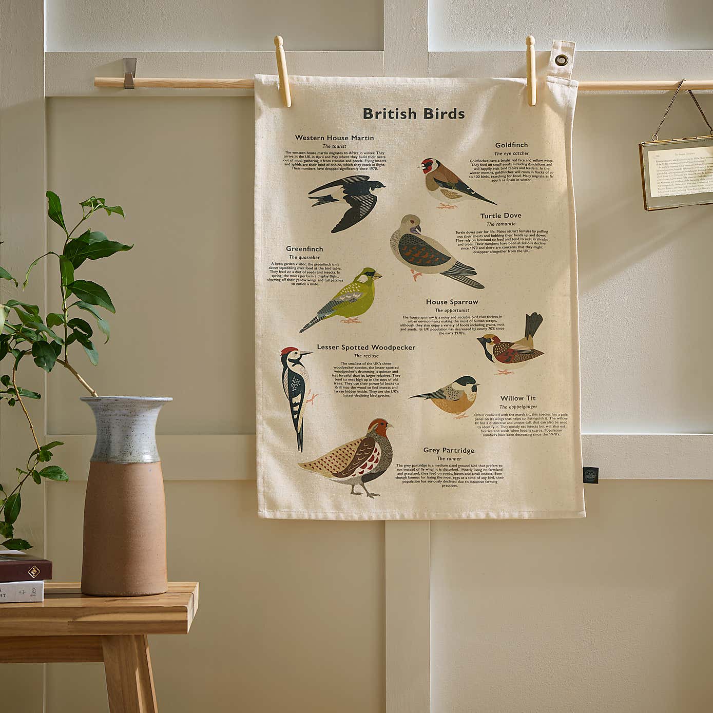 NHM Birds Single Tea Towel