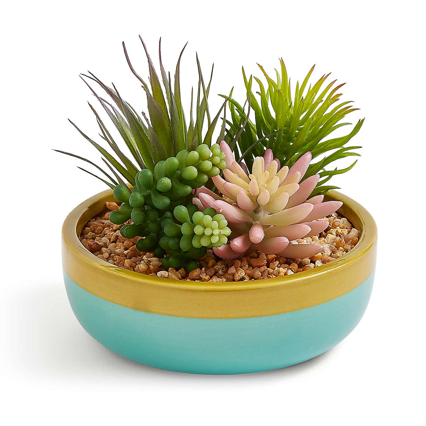 Sunbeam Succulent Arrangement in Ceramic Pot