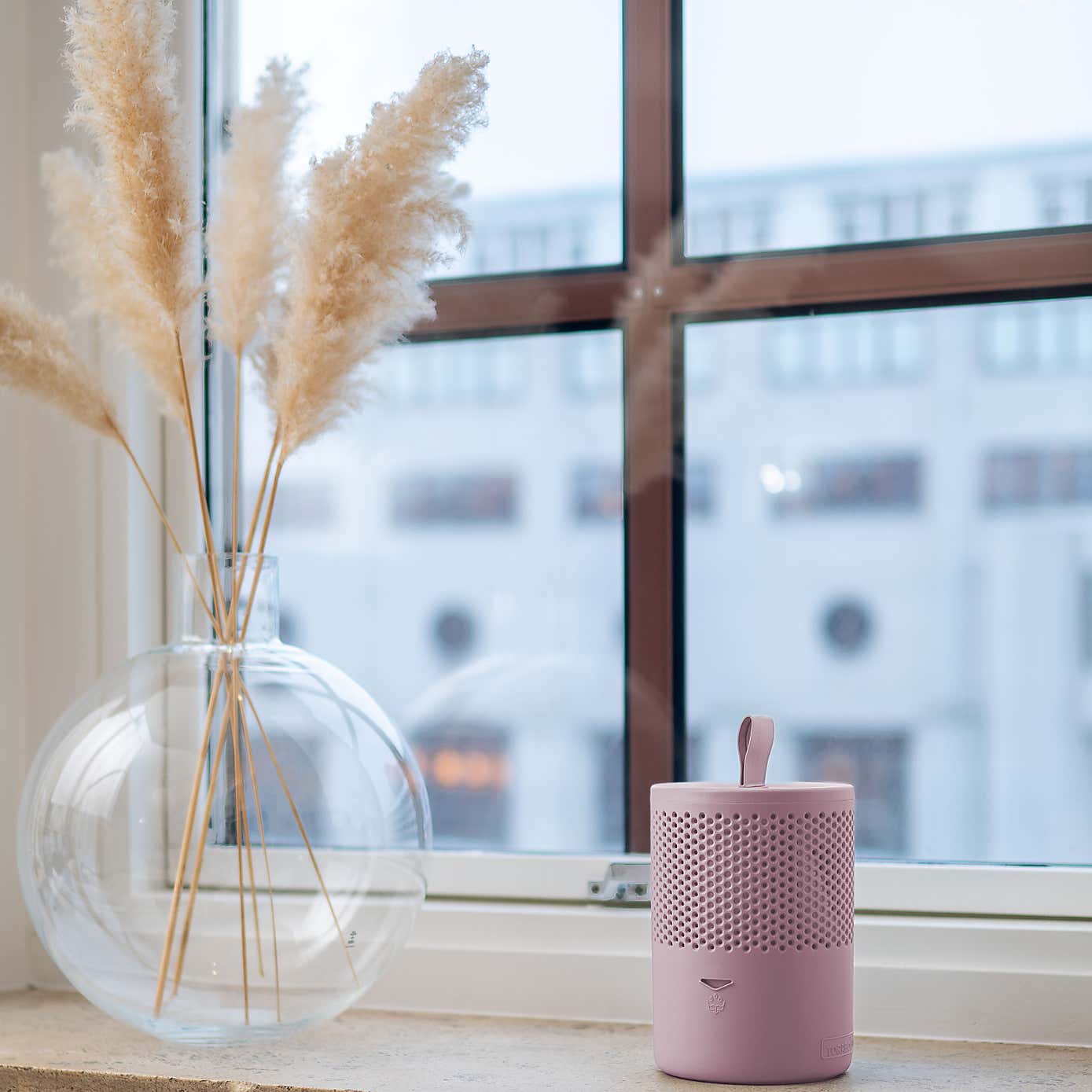 Absodry Duo Family Moisture Absorber