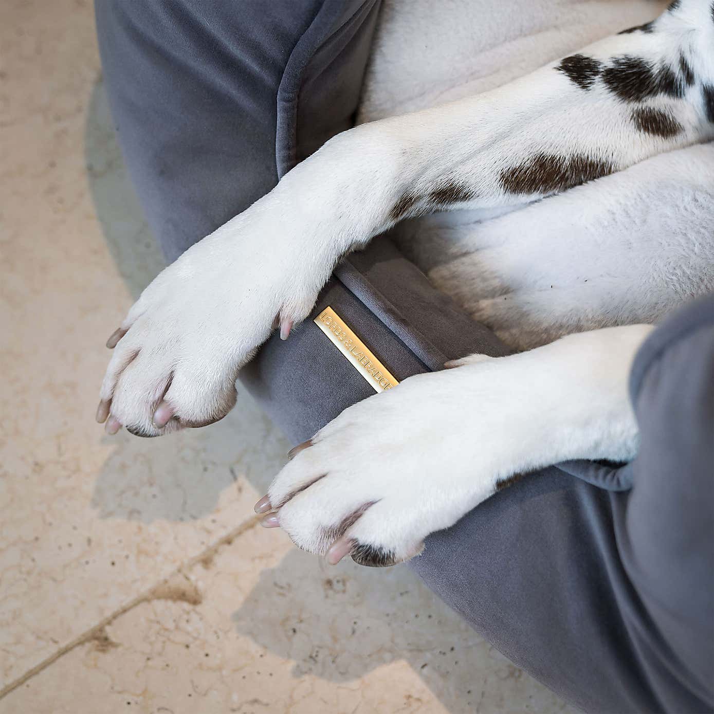 Lords and Labradors Velvet High Wall Dog Bed