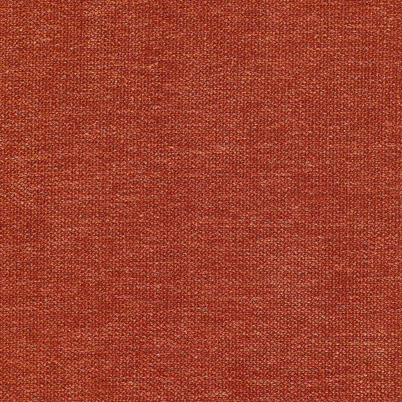 Luxe Chenille Fabric Sample