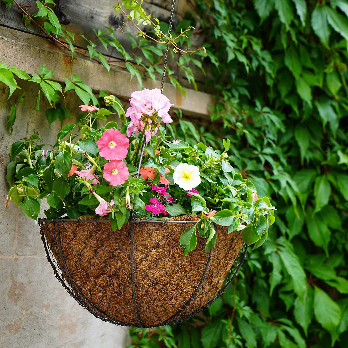 Netted Wire Outdoor Hanging Basket