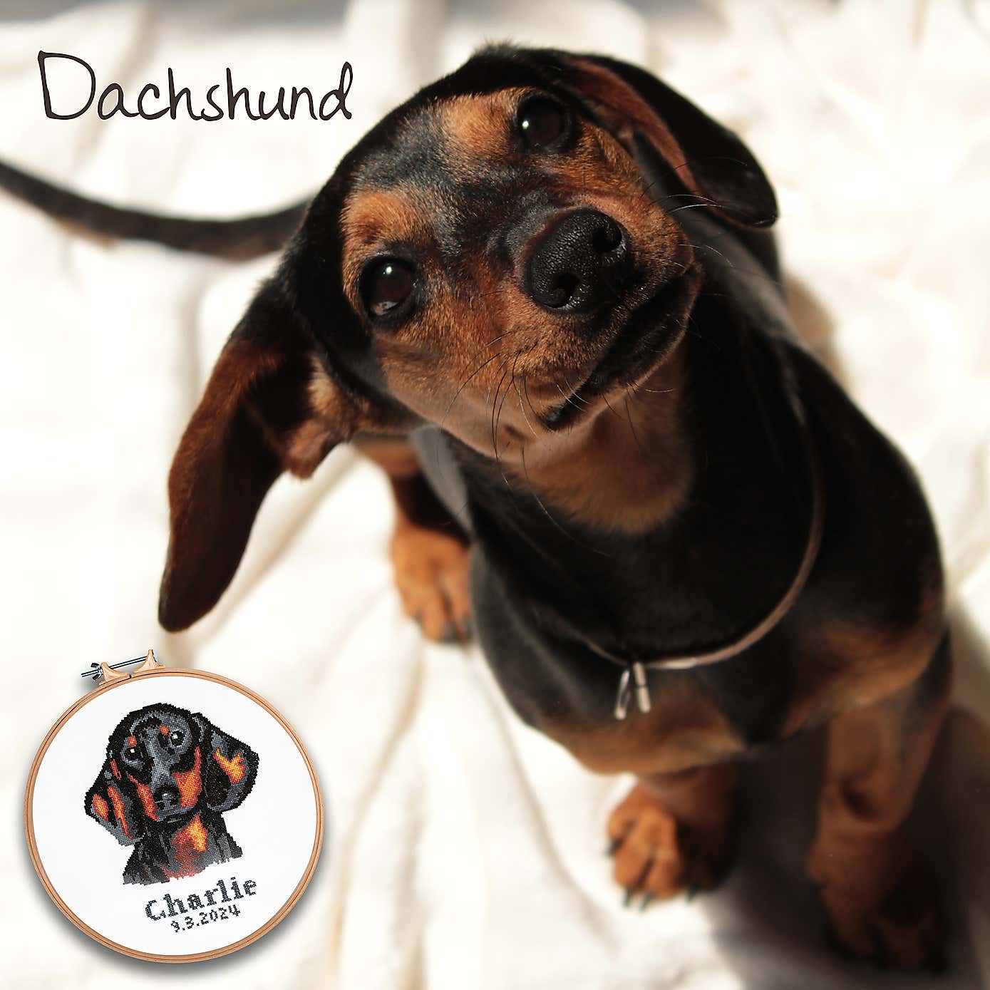 Cross Stitch Dachshund