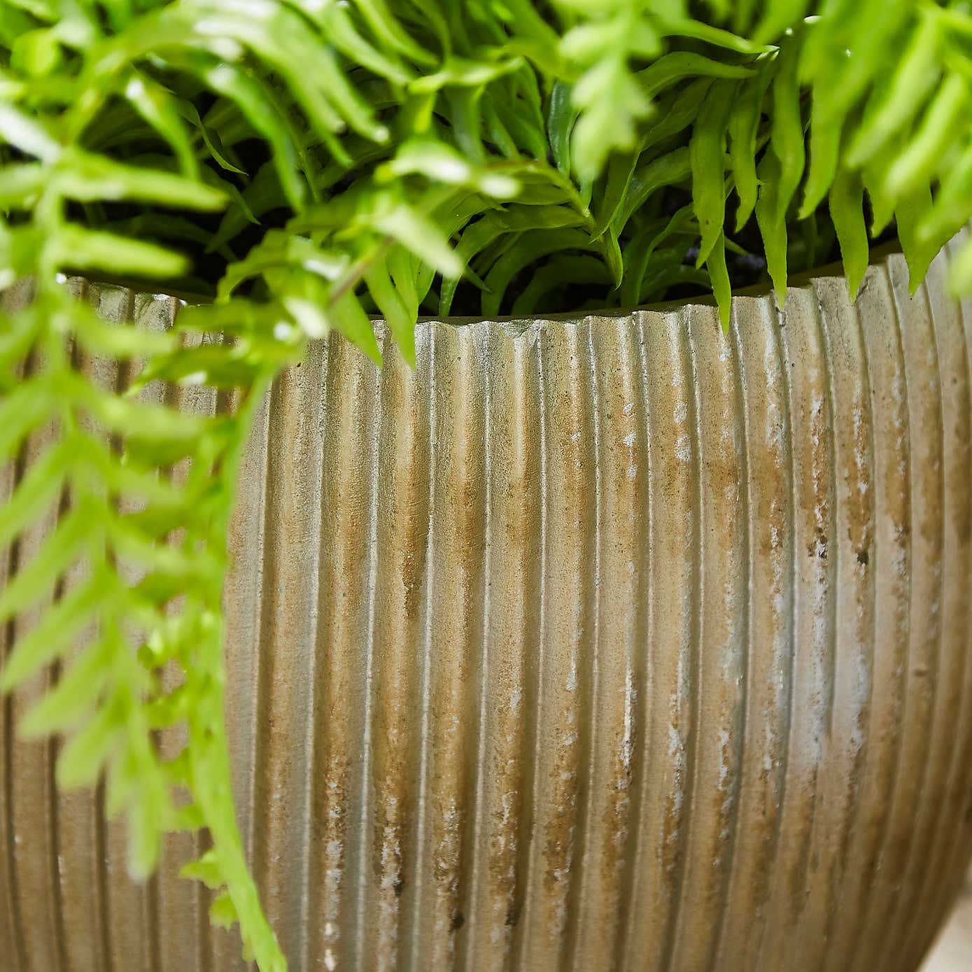 Artificial Fern in Ribbed Plant Pot