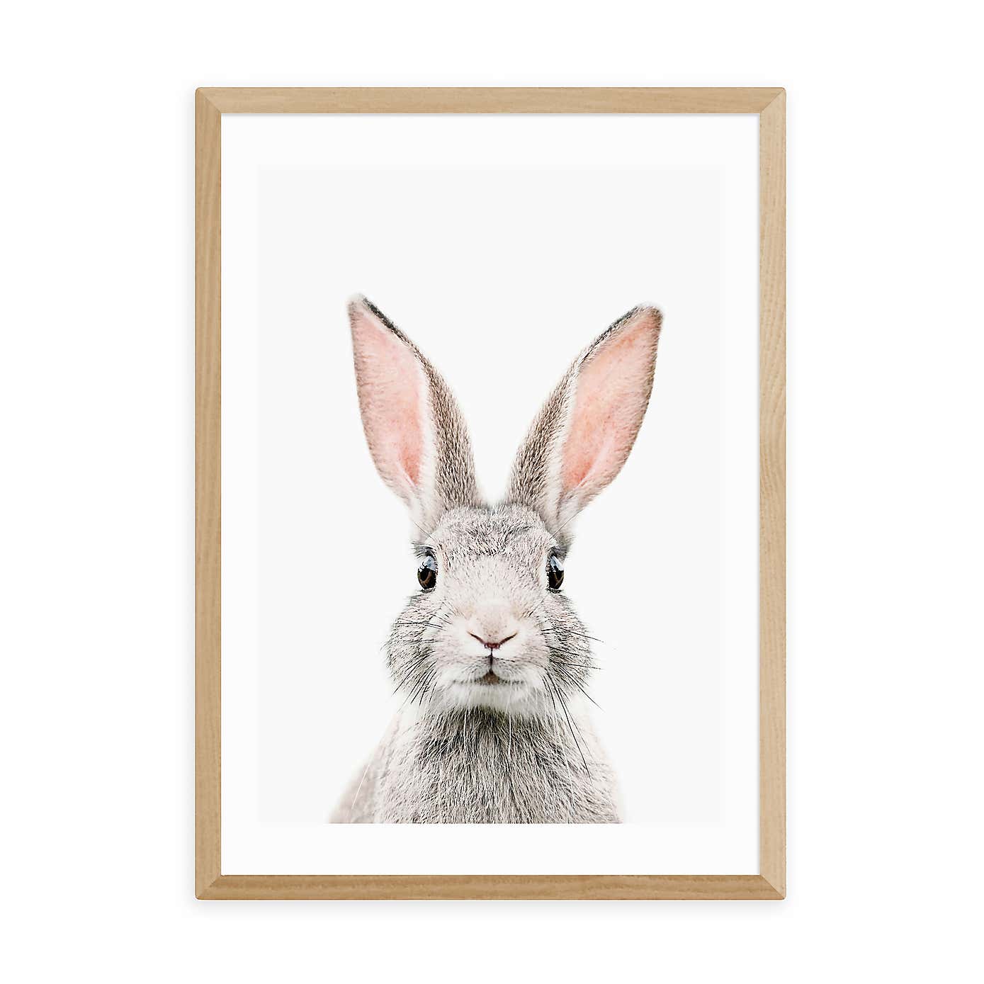 East End Prints Baby Bunny Print