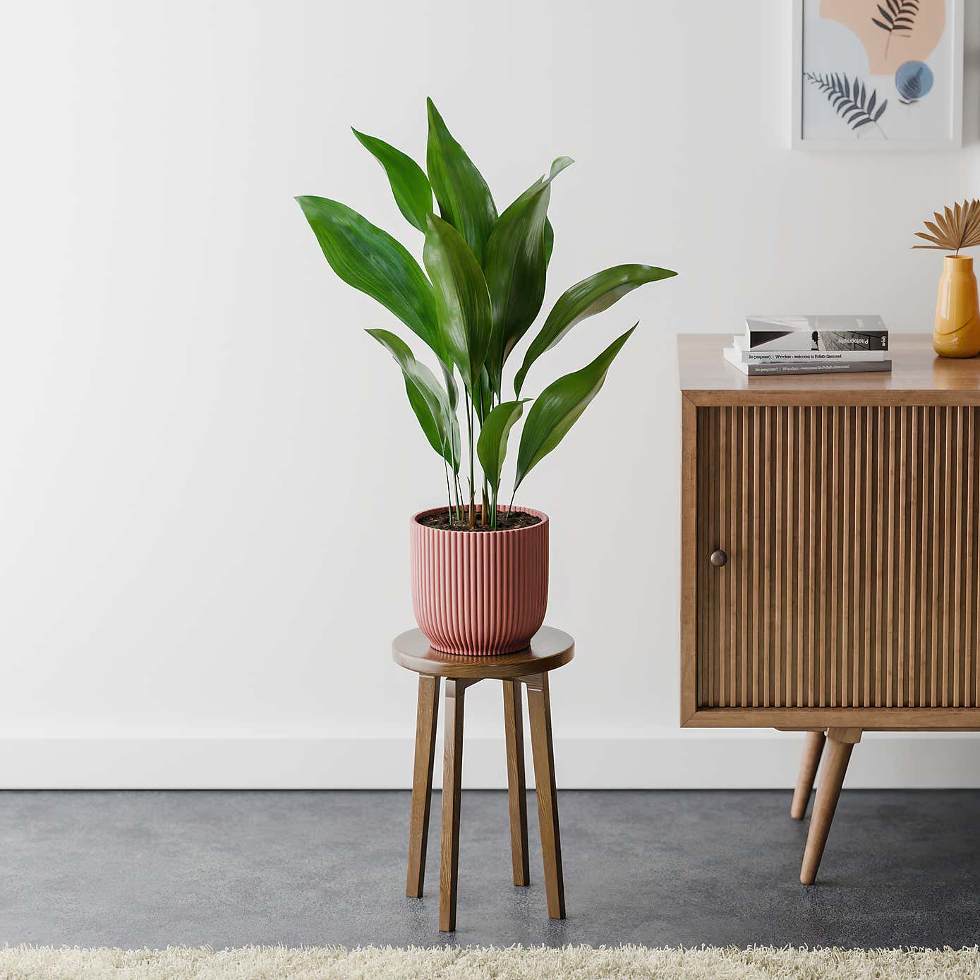 Beards & Daisies Cast Iron House Plant in Vibes Pot