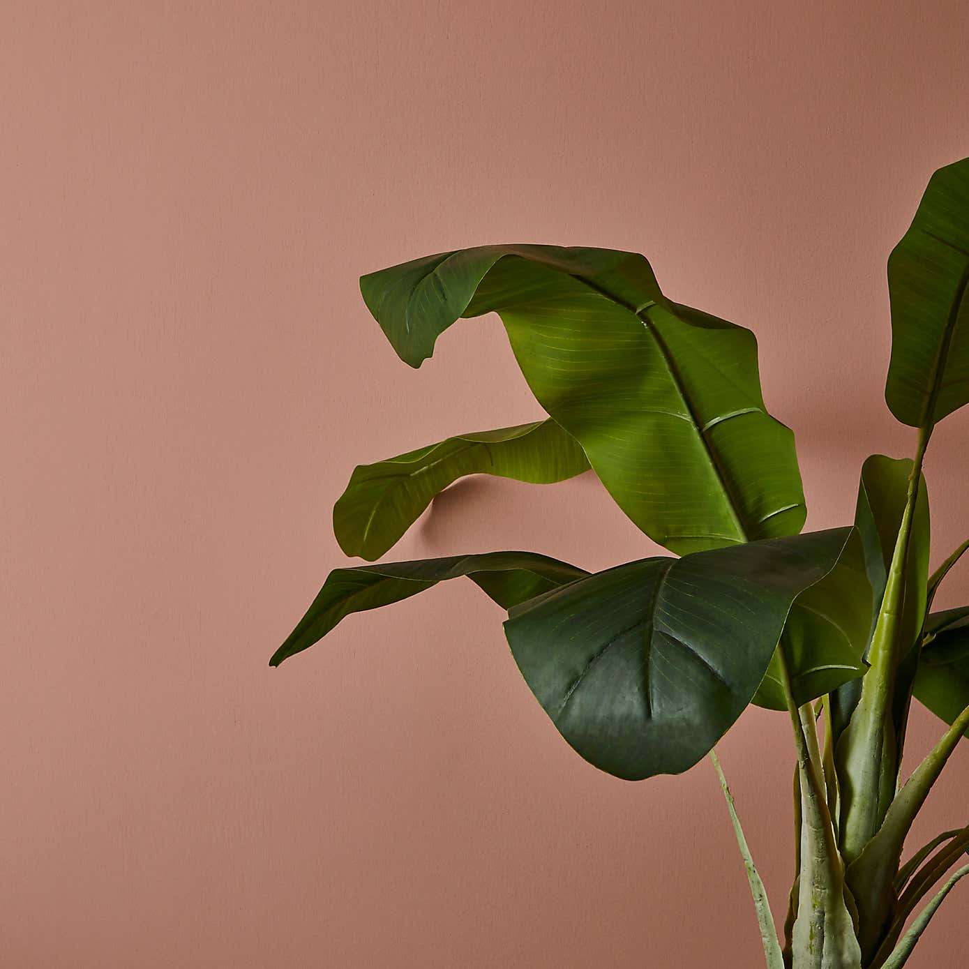 Dunelm Blush Eggshell Emulsion Paint