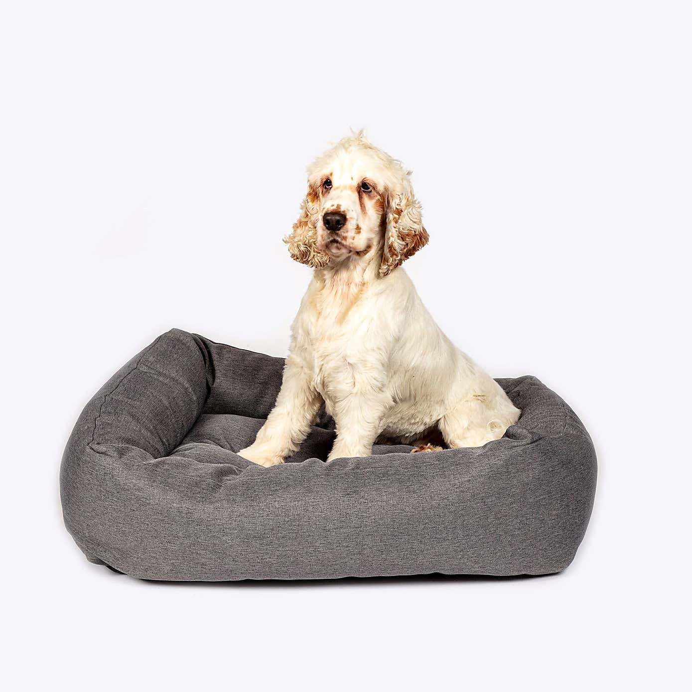 Danish Design Anti Bacterial Snuggle Dog Bed