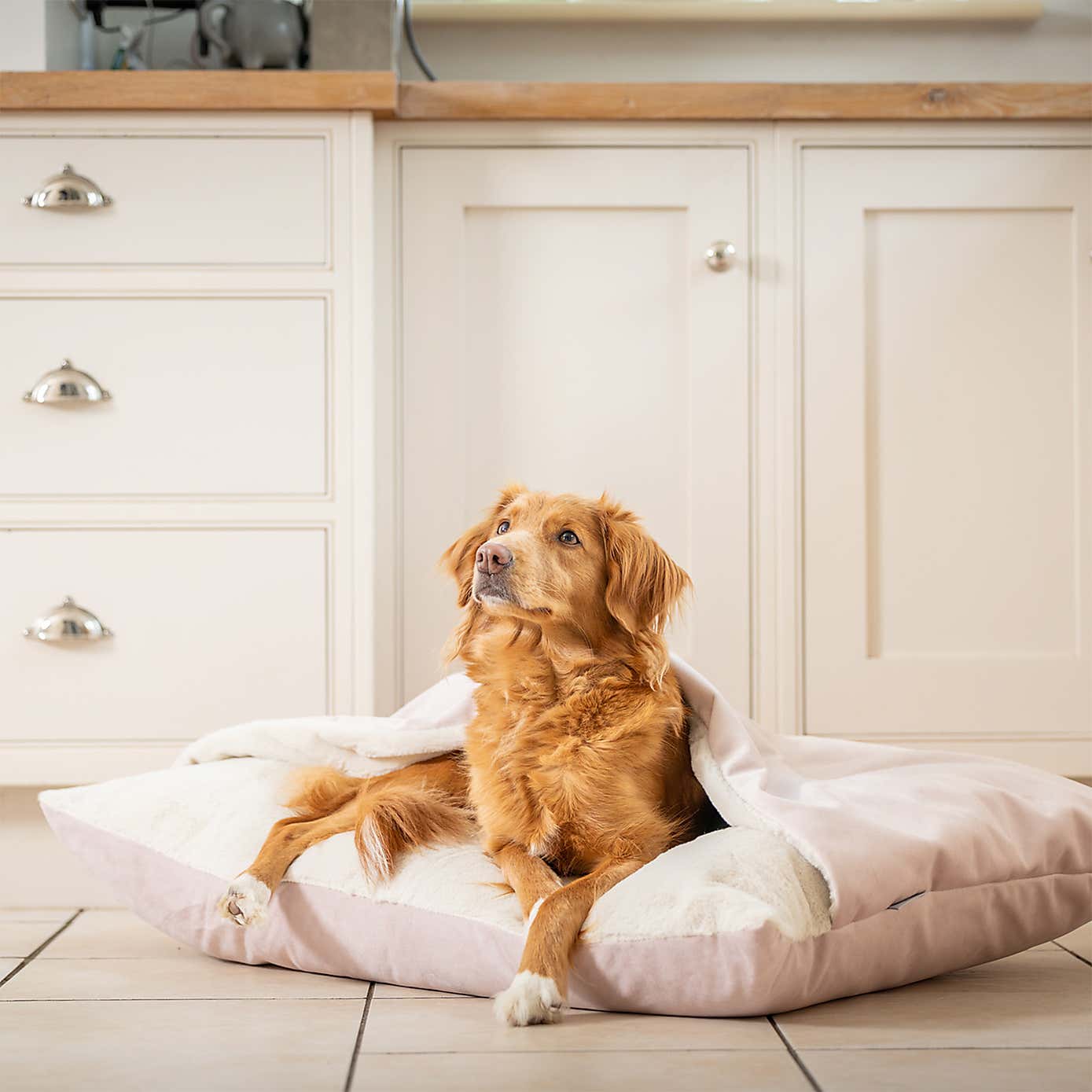 Lords and Labradors Burrow Dog Bed