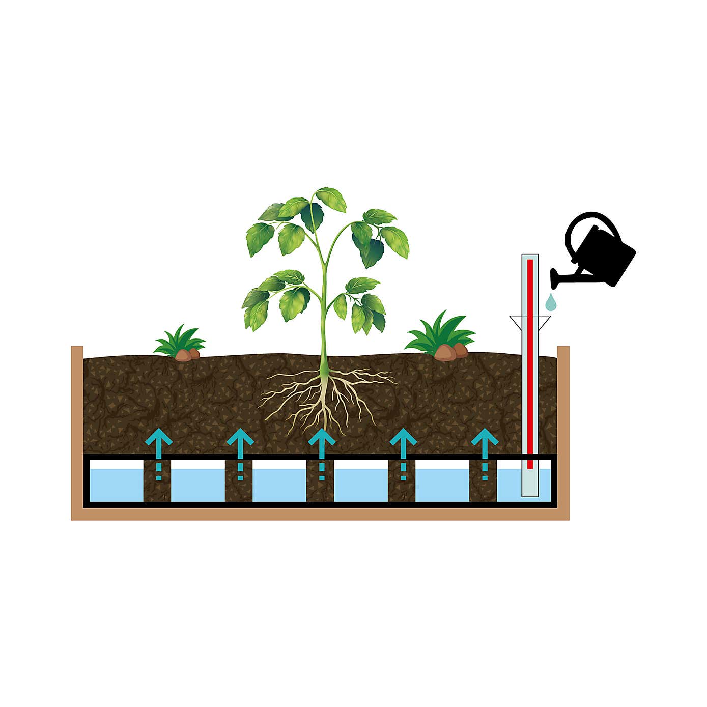 VegTrug Small Classic Self Watering Kit