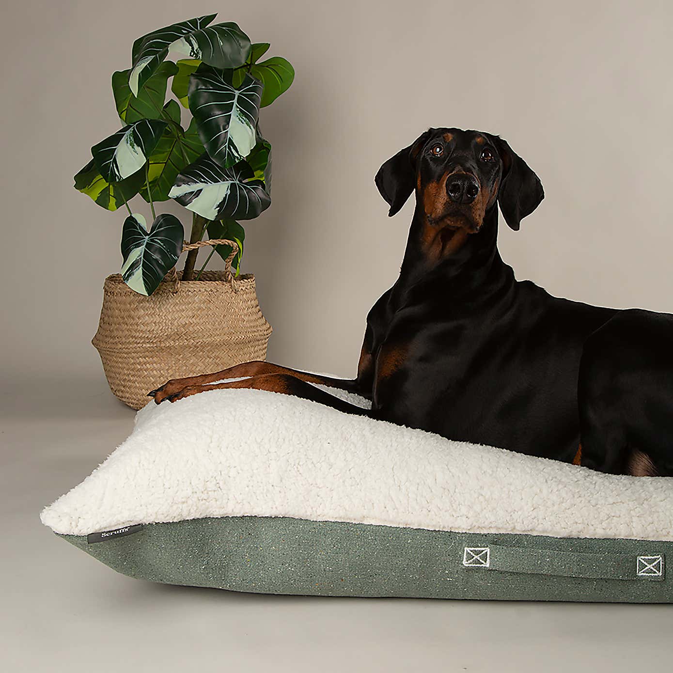 Scruffs 100% Recycled Eden Dog Pillow