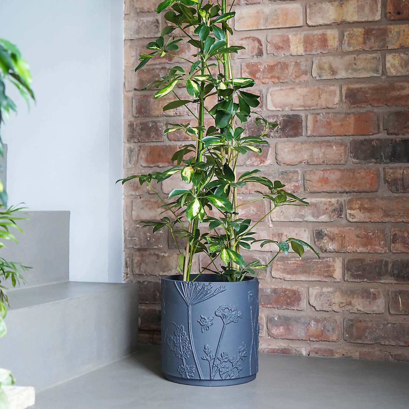 Kew Stoneware Meadow Planter