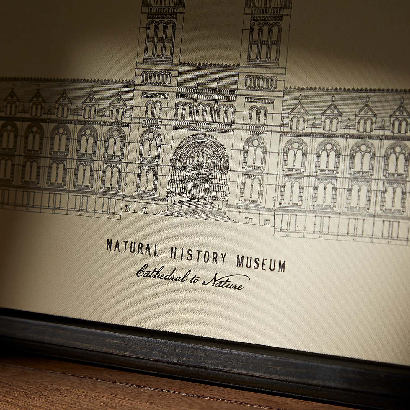 Cathedral to Nature Framed Canvas