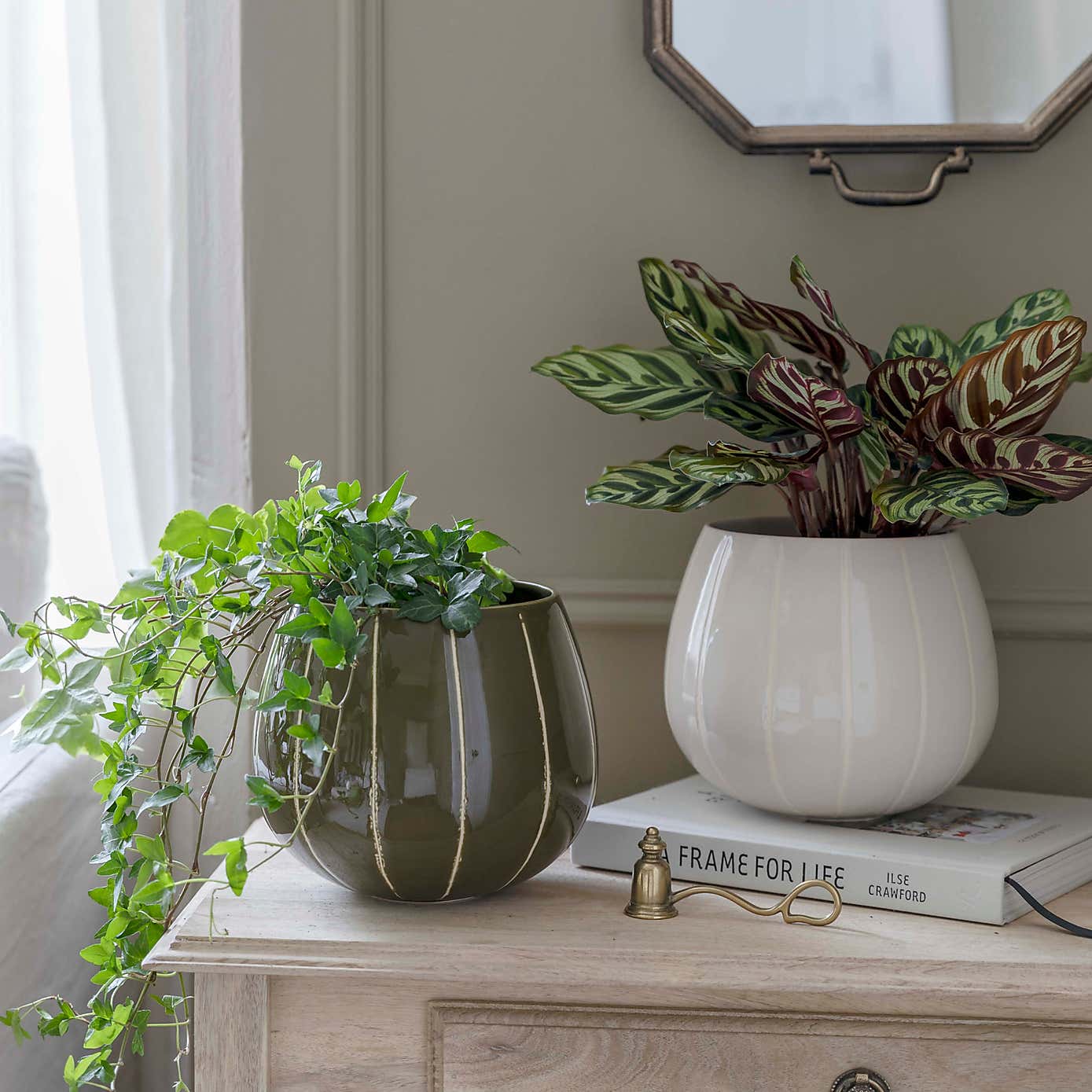 Nova Wax Relief Planter