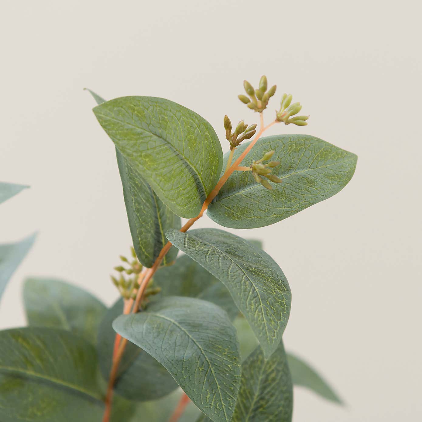 Artificial Green Seeded Eucalyptus Stem