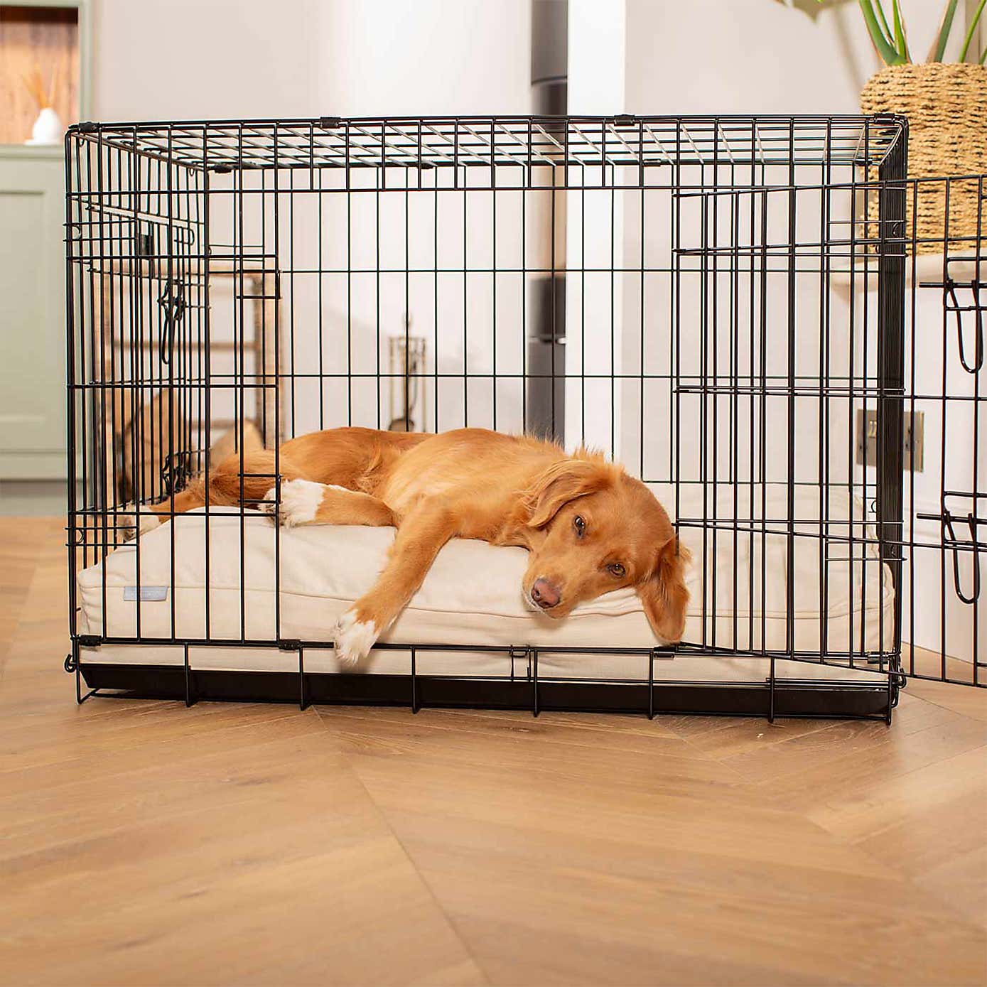 Lords and Labradors Savanna Dog Cushion