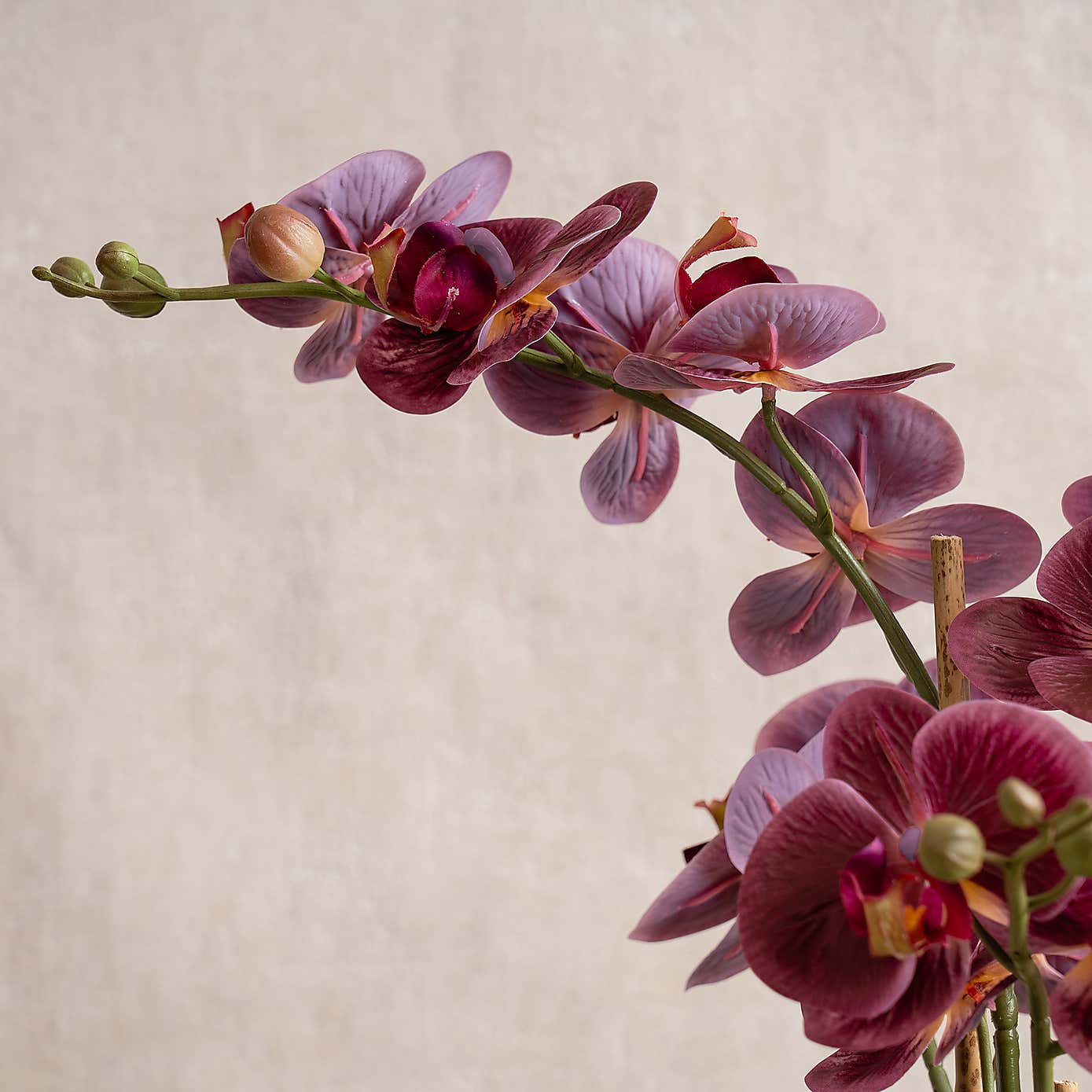 Artificial Real Touch Dark Pink Phalaenopsis Orchid in Ceramic Pot