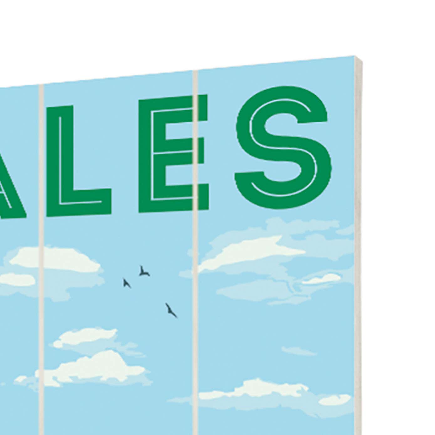 The Art Group Wales Wooden Wall Art