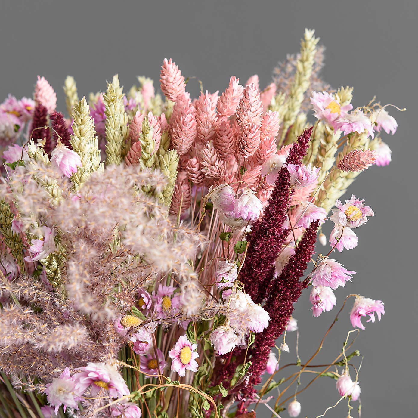 Dried Pink Phalaris Bouquet