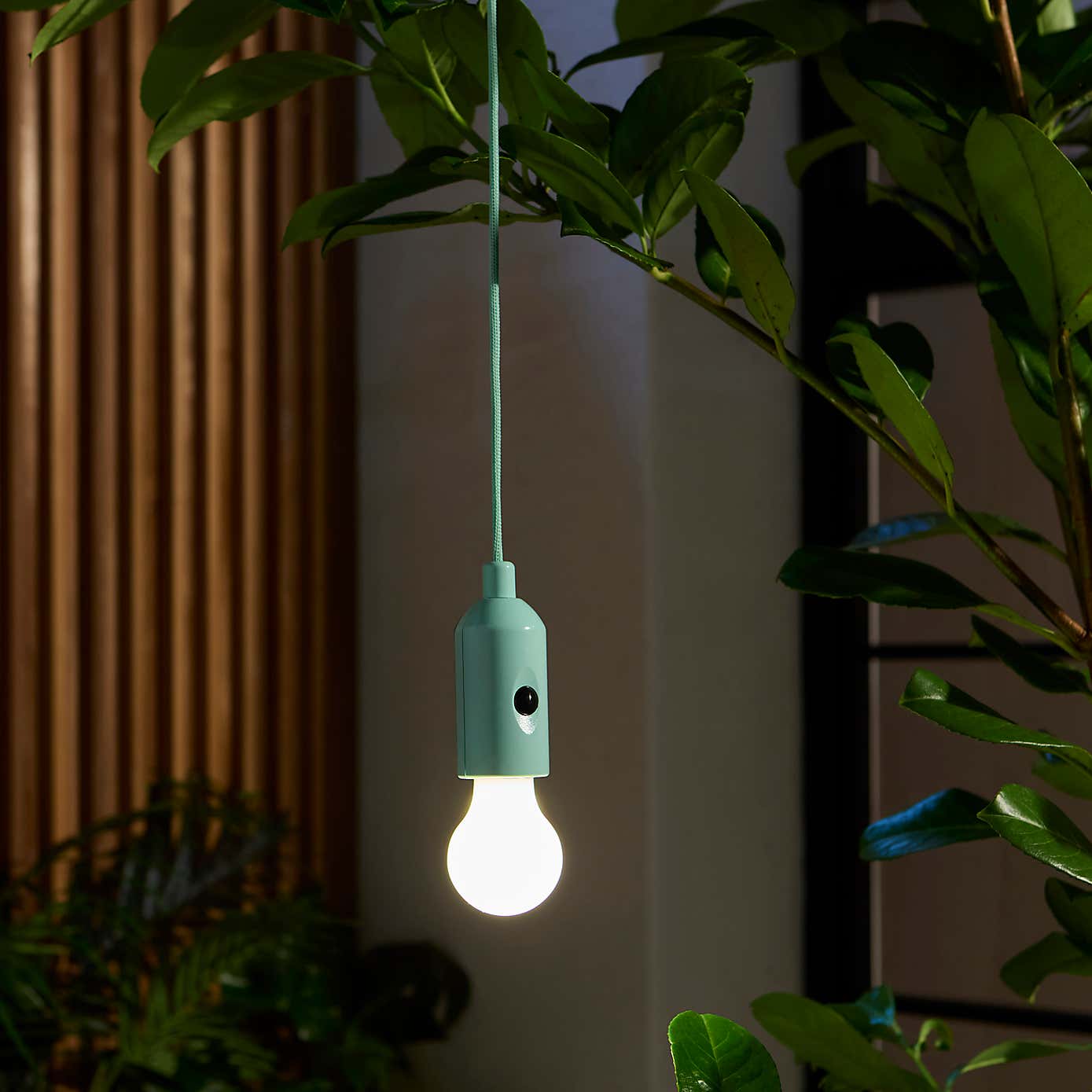 Rope Hanging LED Indoor Outdoor Light