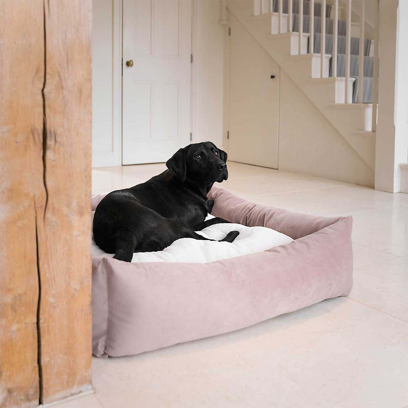 Lords and Labradors Velvet Box Dog Bed