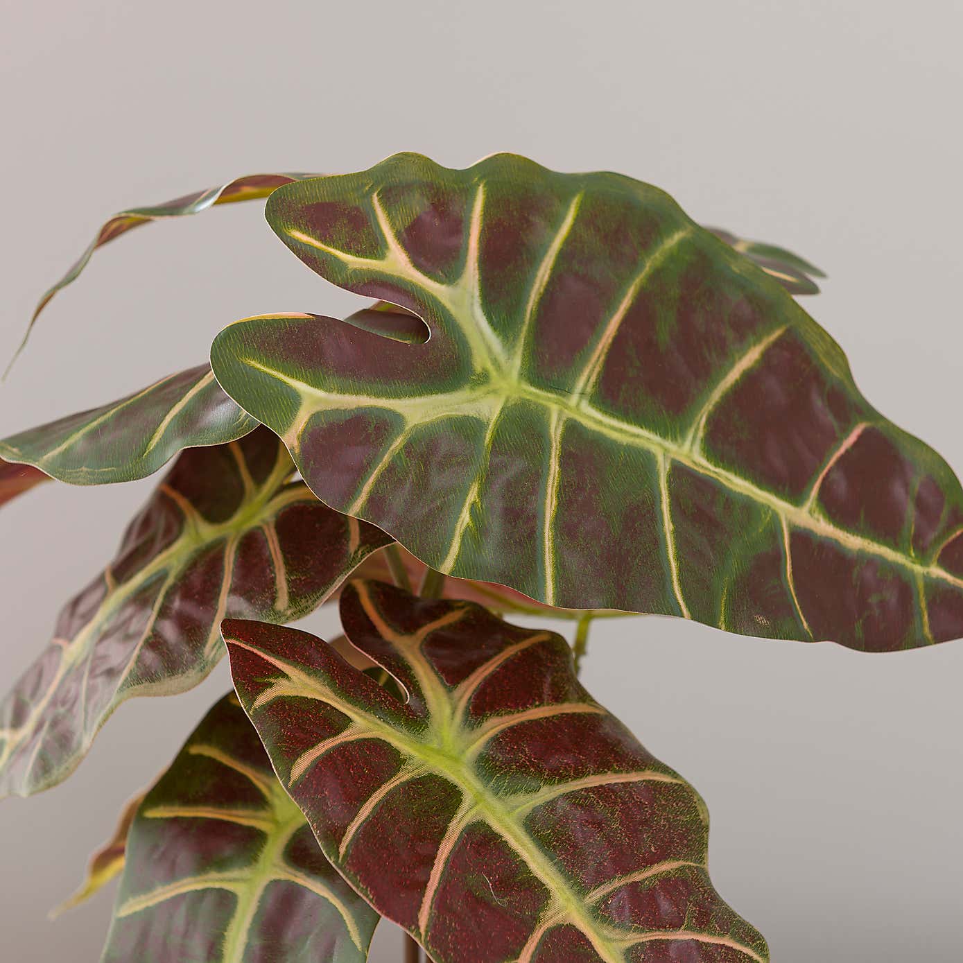 Artificial Alocasia Plant in White Cement Plant Pot