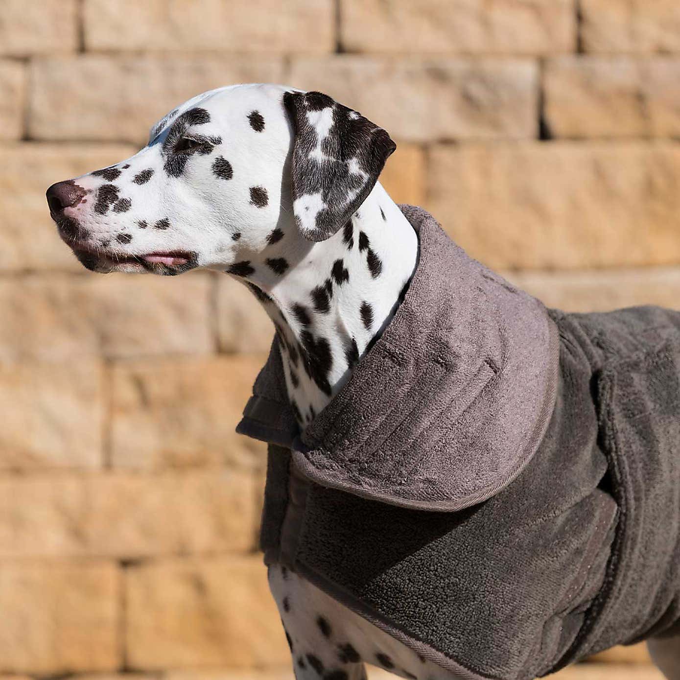 Lords and Labradors Bamboo Dog Drying Coat