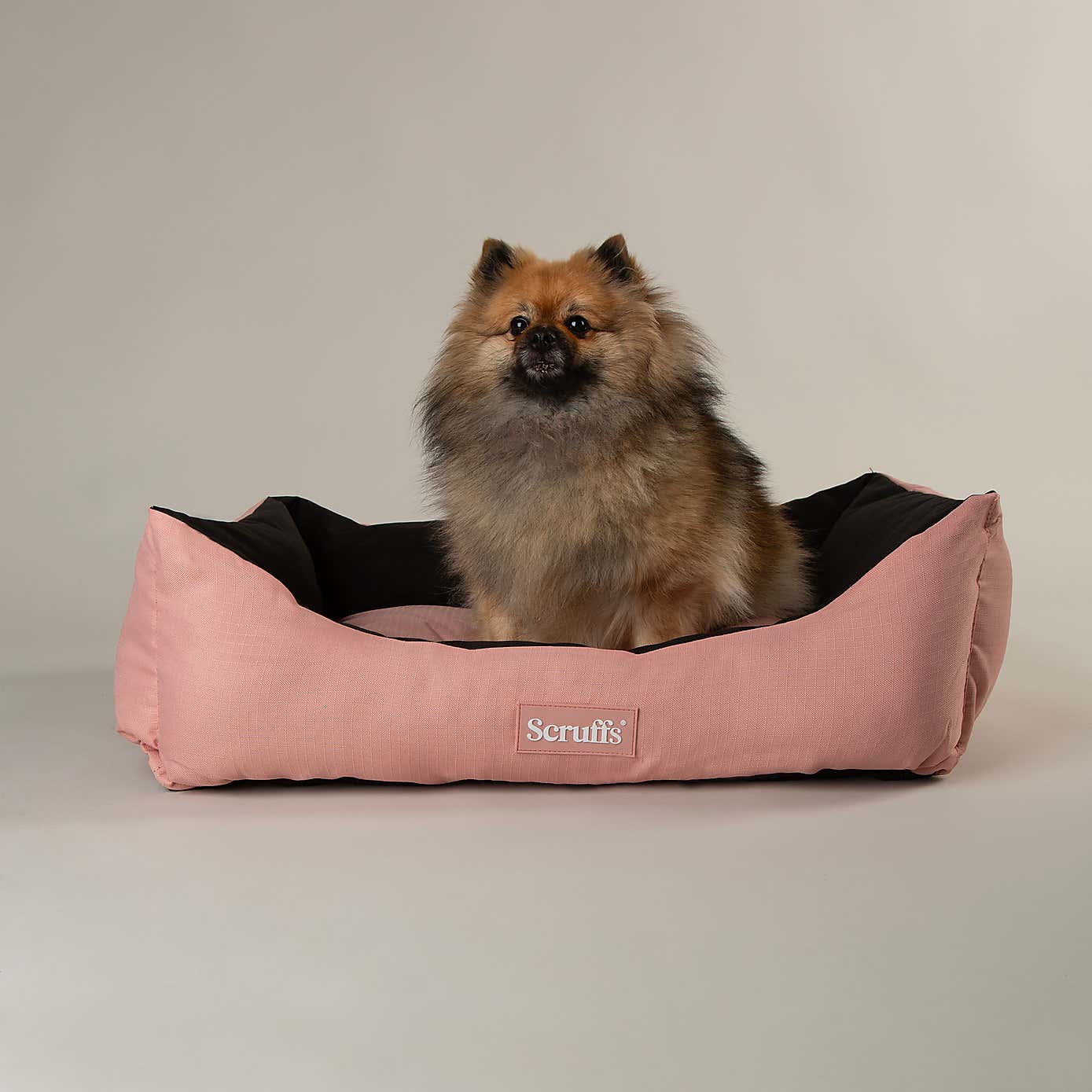 Scruffs Expedition Box Bed