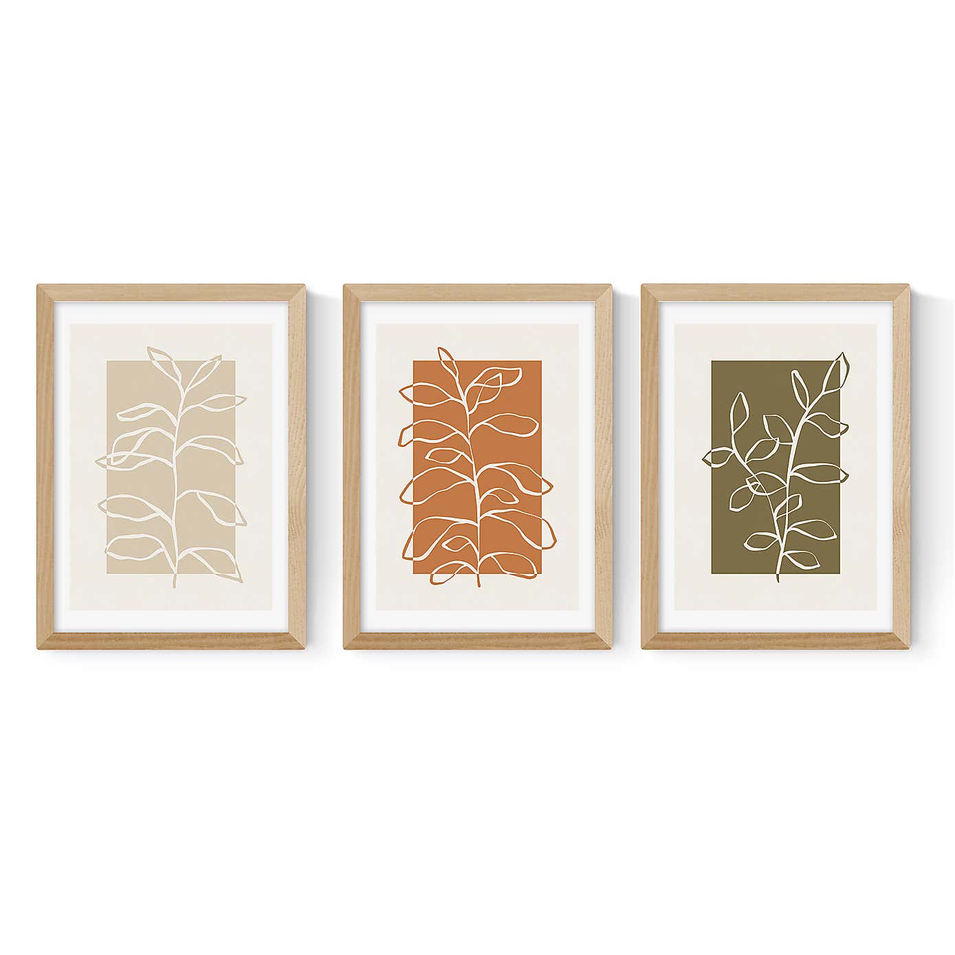 East End Prints Set of 3 Botany Prints by Alisa Galitsyna