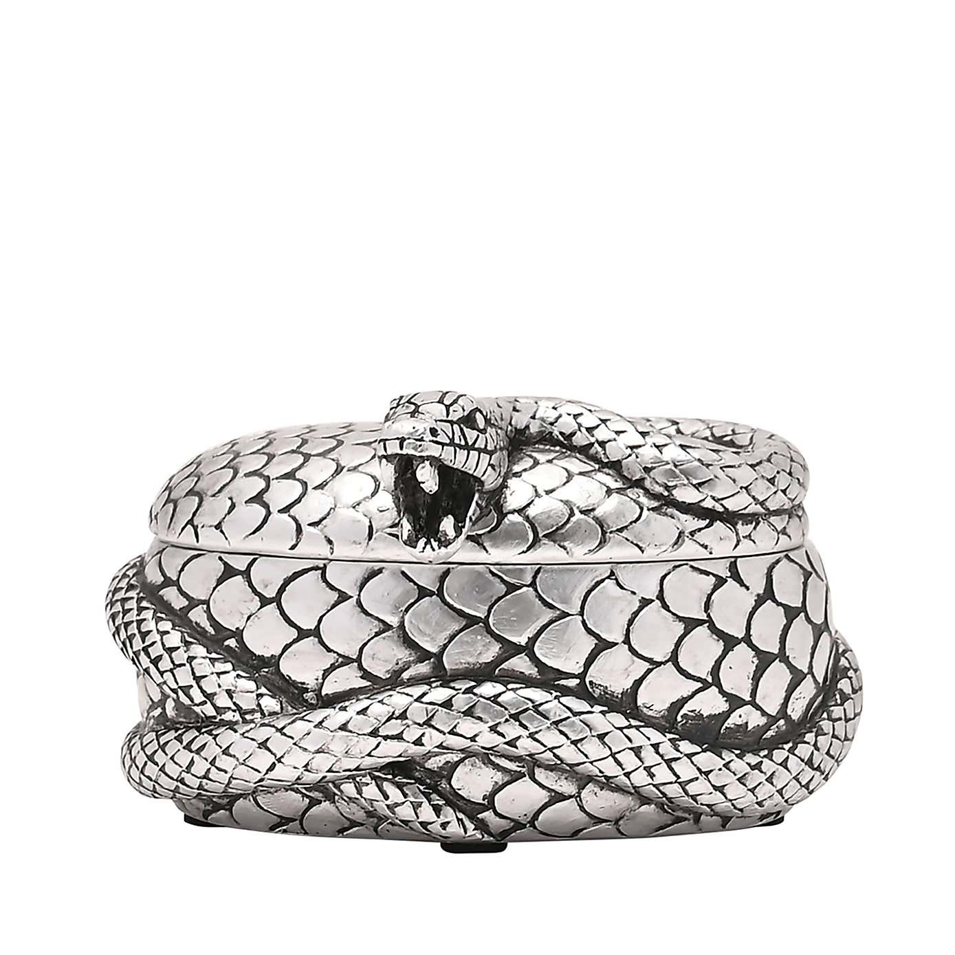 Harry Potter Dark Arts Nagini Trinket Box