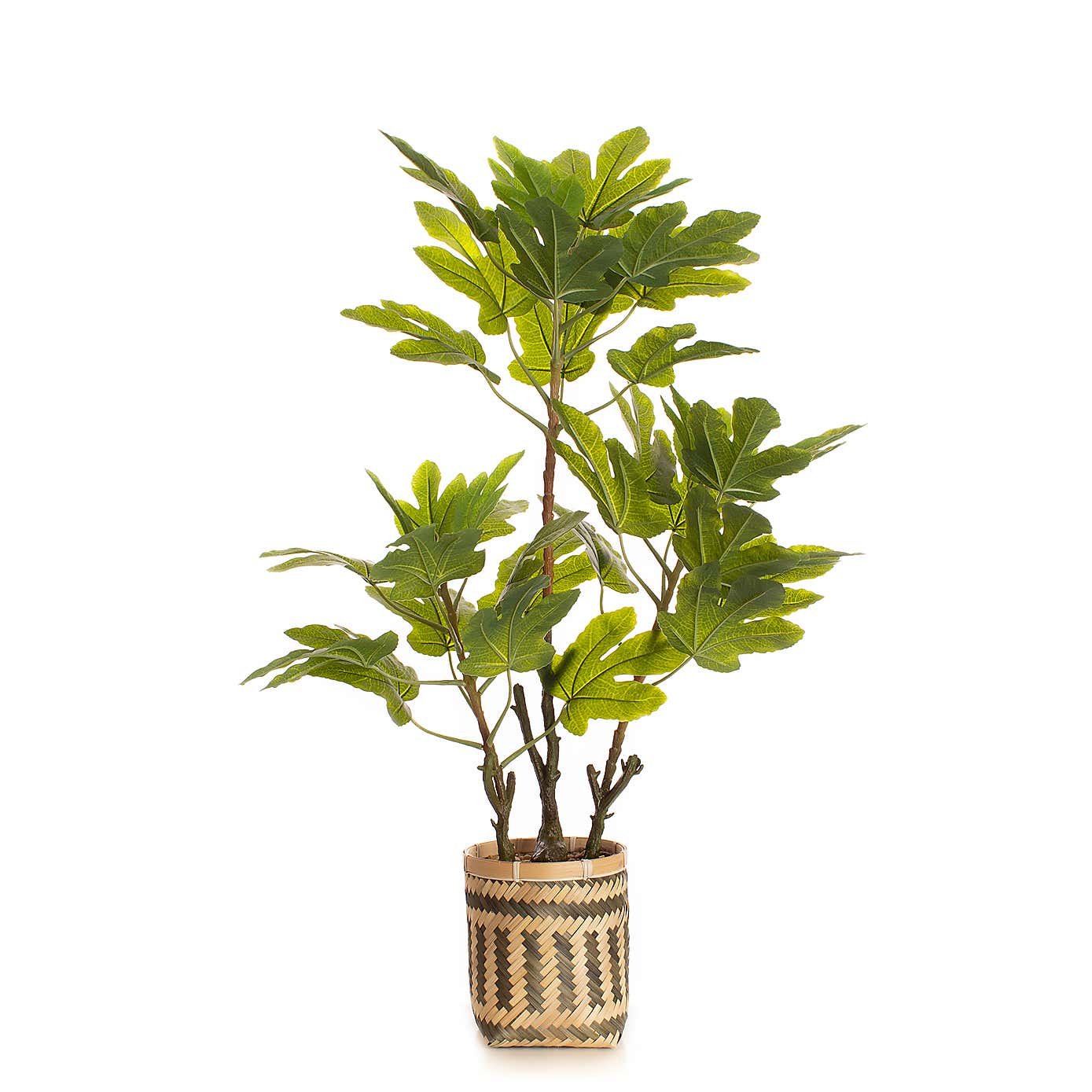 Artificial Fig Tree in Bamboo Plant Pot