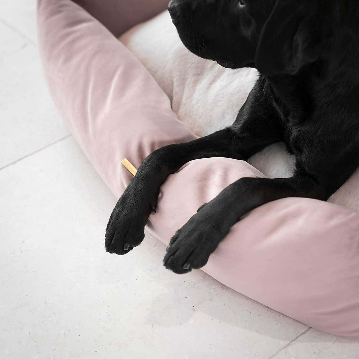 Lords and Labradors Velvet Box Dog Bed