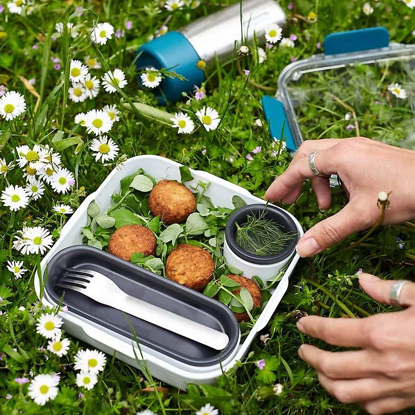 Black and Blum Original Lunch Box