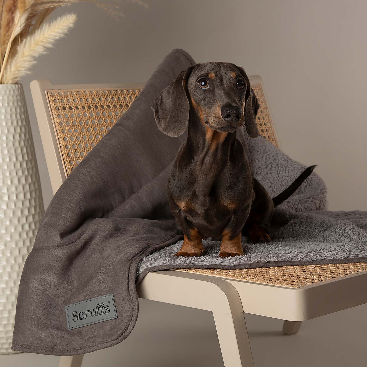 Scruffs Cosy Dog Blanket