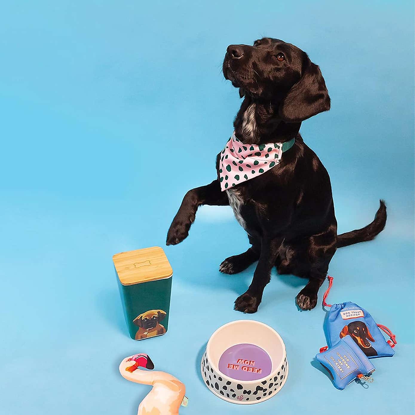 Emily Brooks Bamboo Dog Bowl