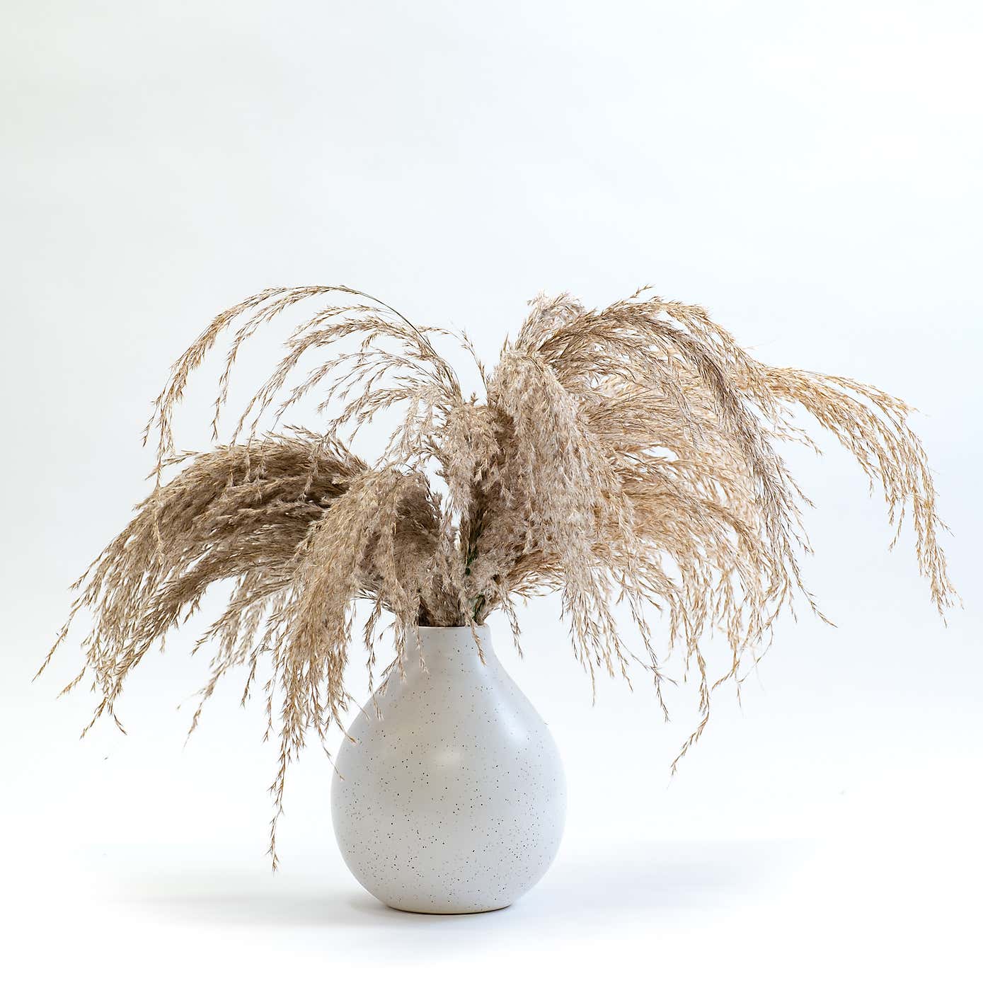 Artificial Pampas Grass in White Ceramic Vase