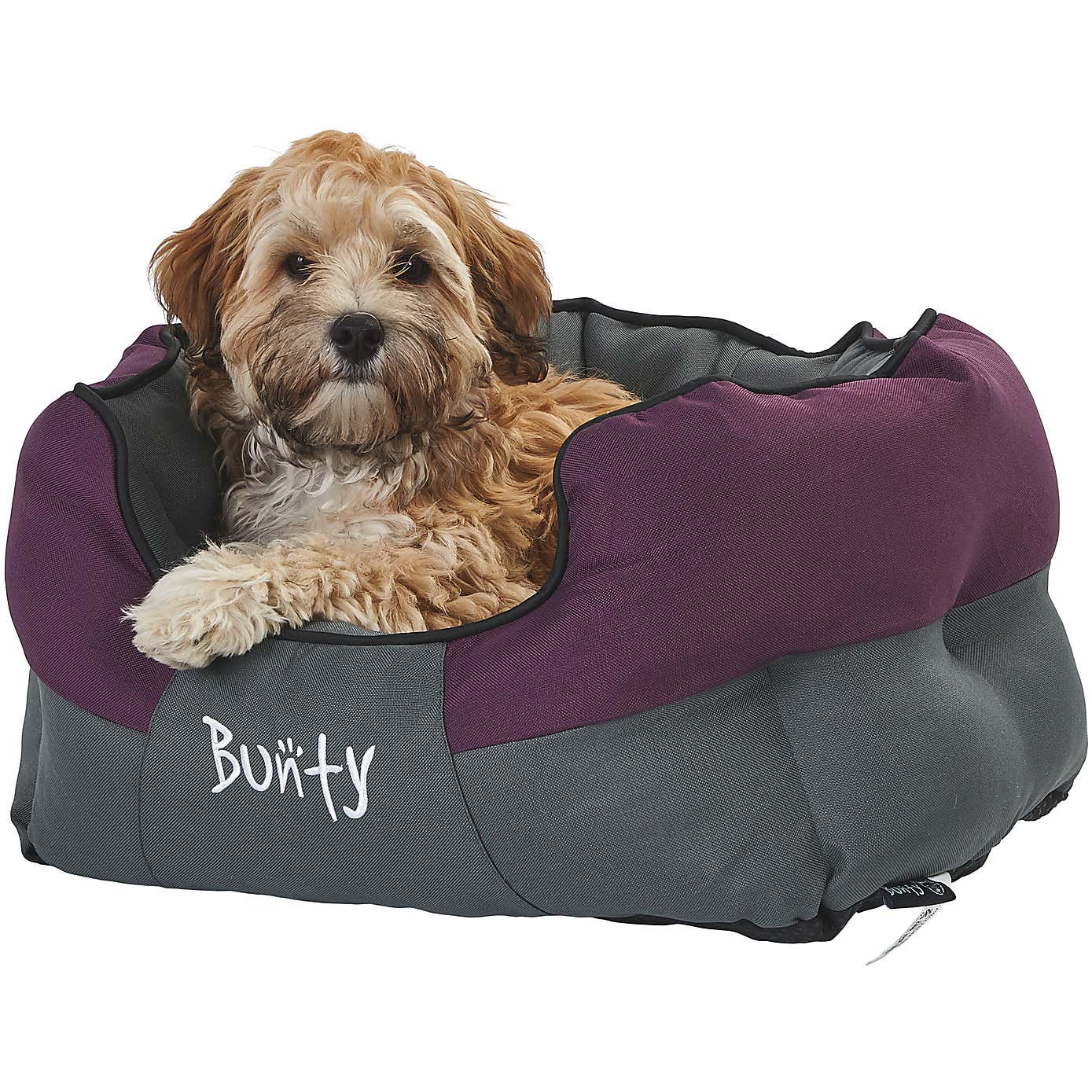 Bunty Pets Anchor Pet Bed