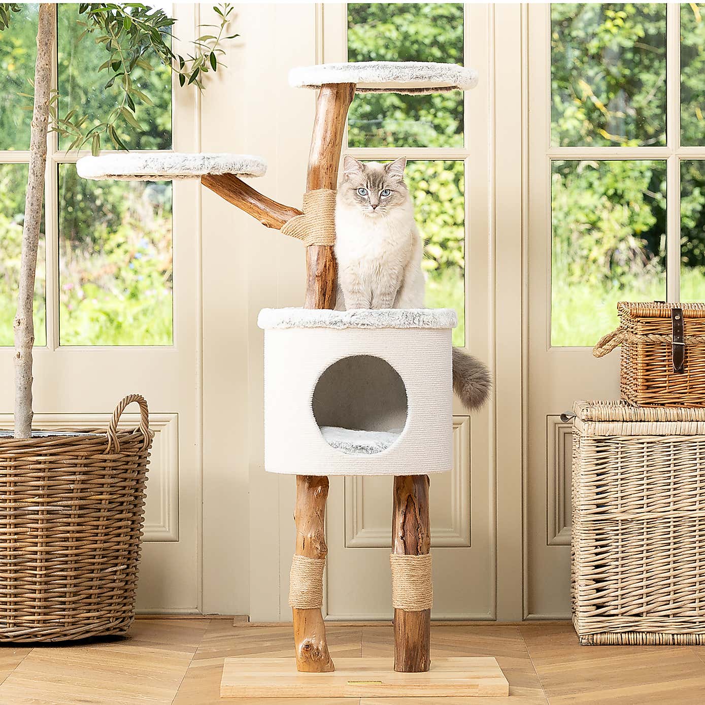 Lords and Labradors The High Rise Cat Scratch Post